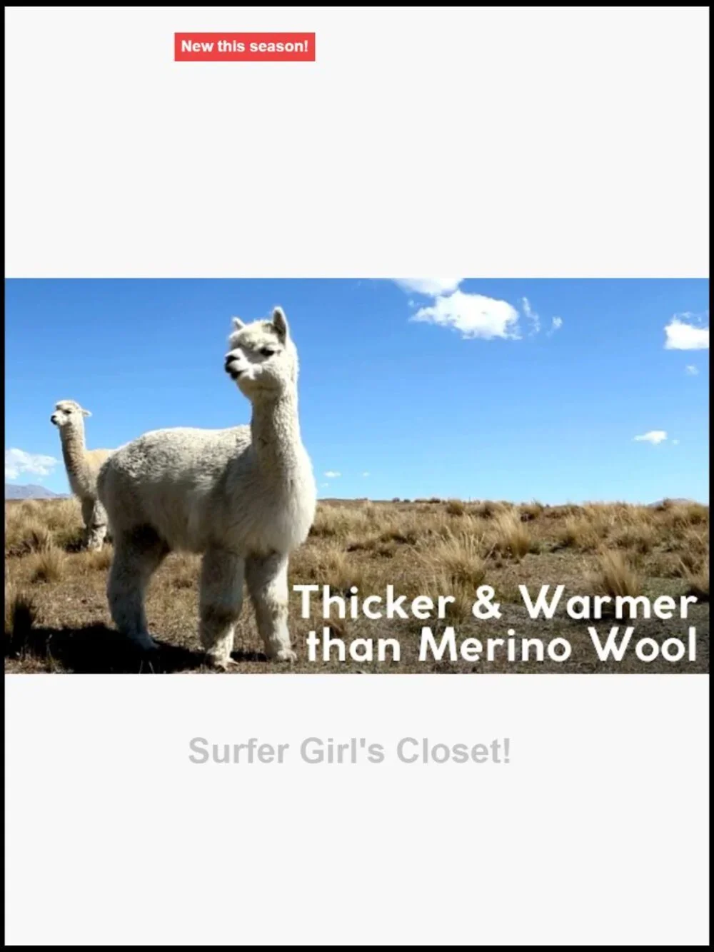 Heavyweight Alpaca Wool Boot Socks Hiking Hunting Moisture Wicking